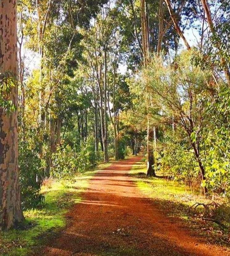 Mahogany Inn And Distillery Mahogany Creek Bagian luar foto