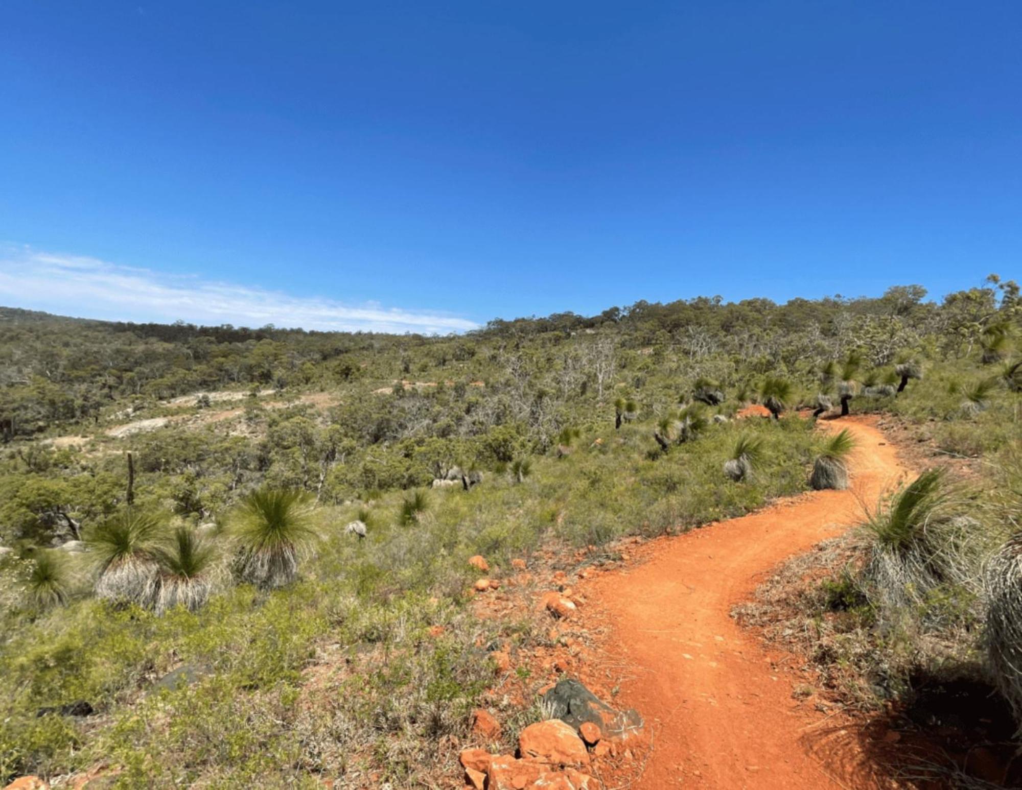 Mahogany Inn And Distillery Mahogany Creek Bagian luar foto